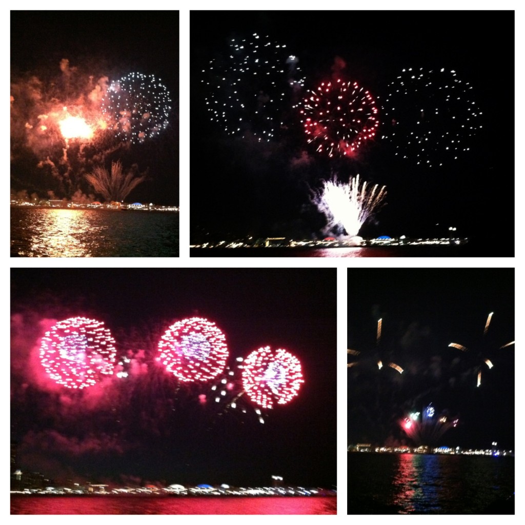 Seadog Fireworks Cruise in Chicago