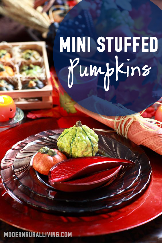 Mini Stuffed Pumpkins an Easy Gourmet Meal