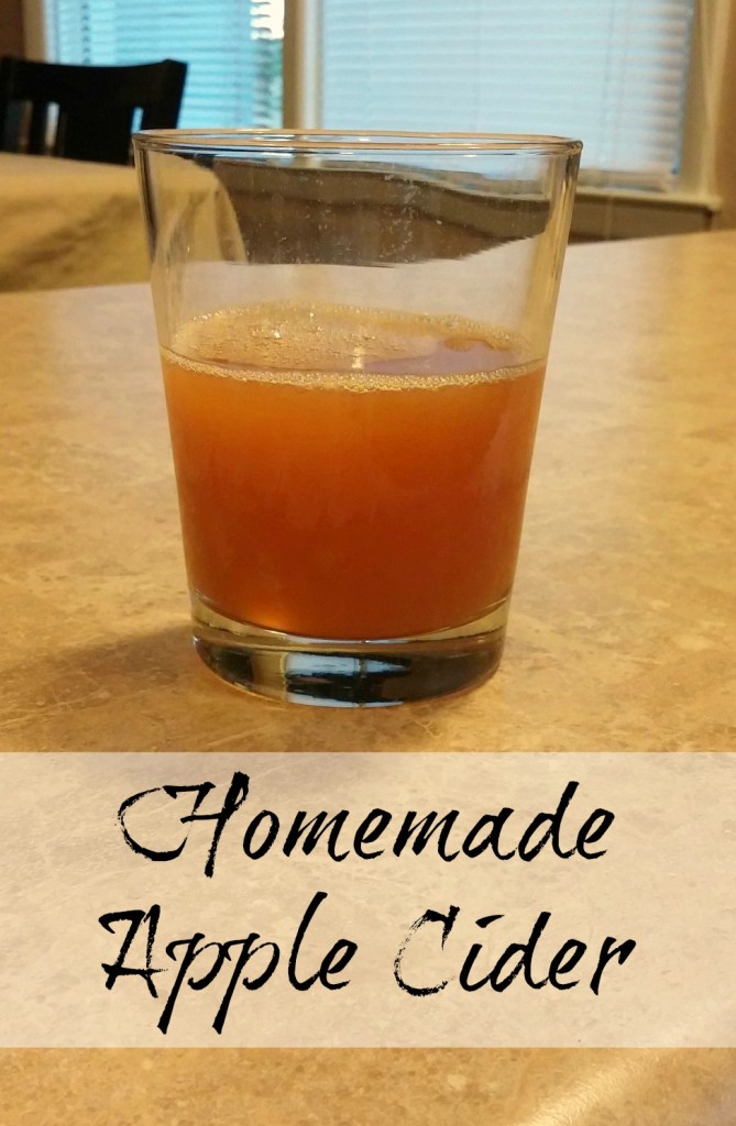 Homemade Apple Cider