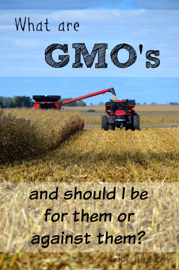 What are GMO's? Should I Be for Them or Against Them?