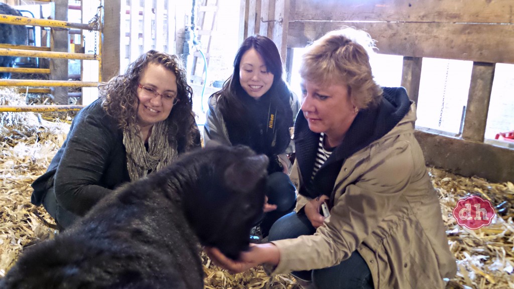 A Visit to SkyView Farms #FarmLife #NorthIowa 