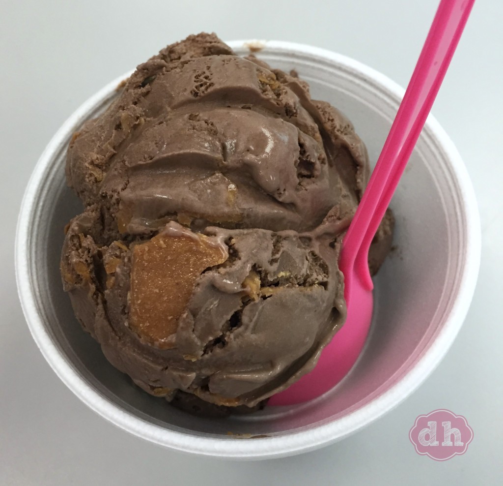 Family Fun at Larry's Ice Cream & Yogurt #travel #food #icecream