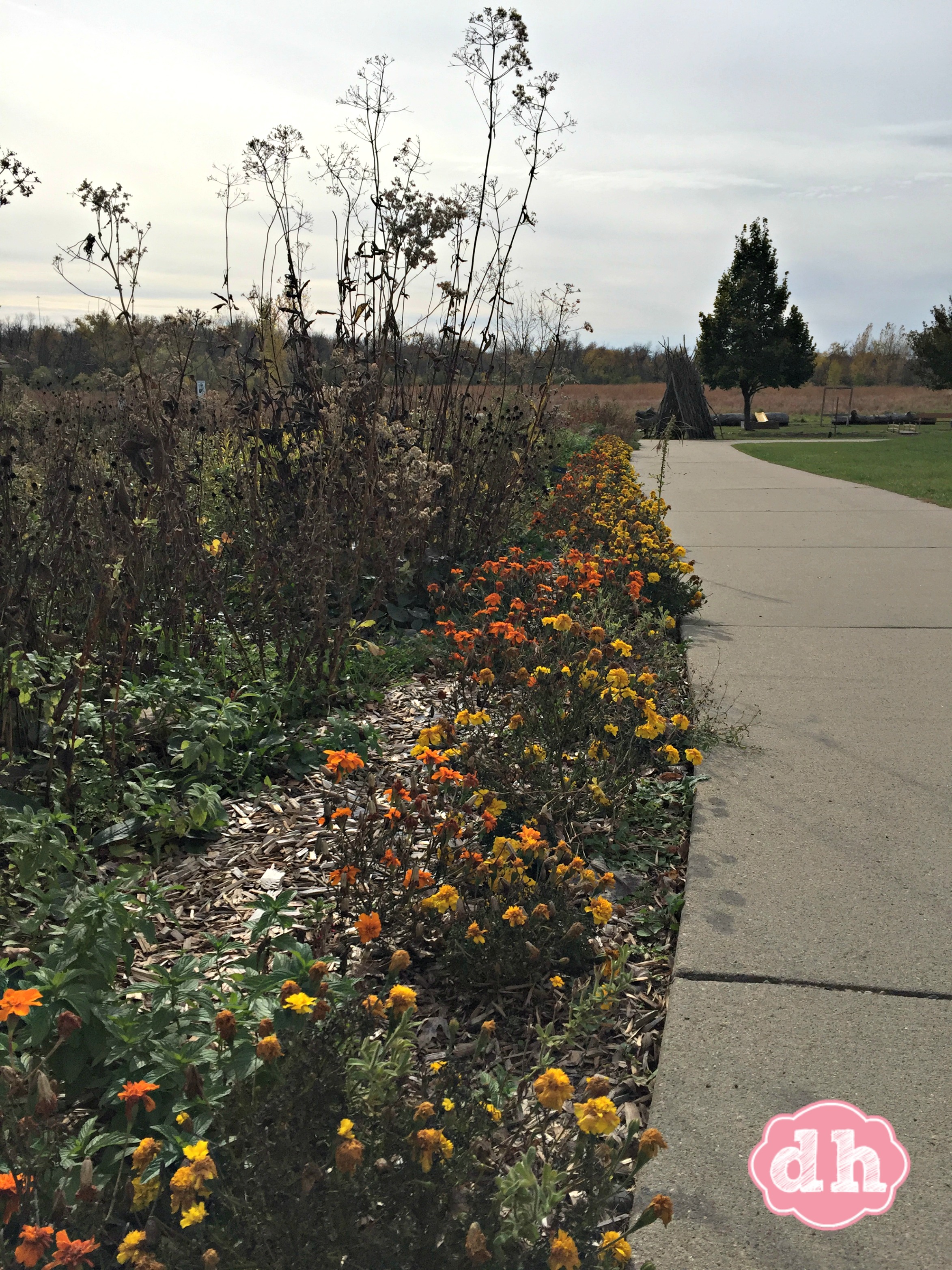 Outdoor Campus in Sioux Falls #VisitSiouxFalls #travel