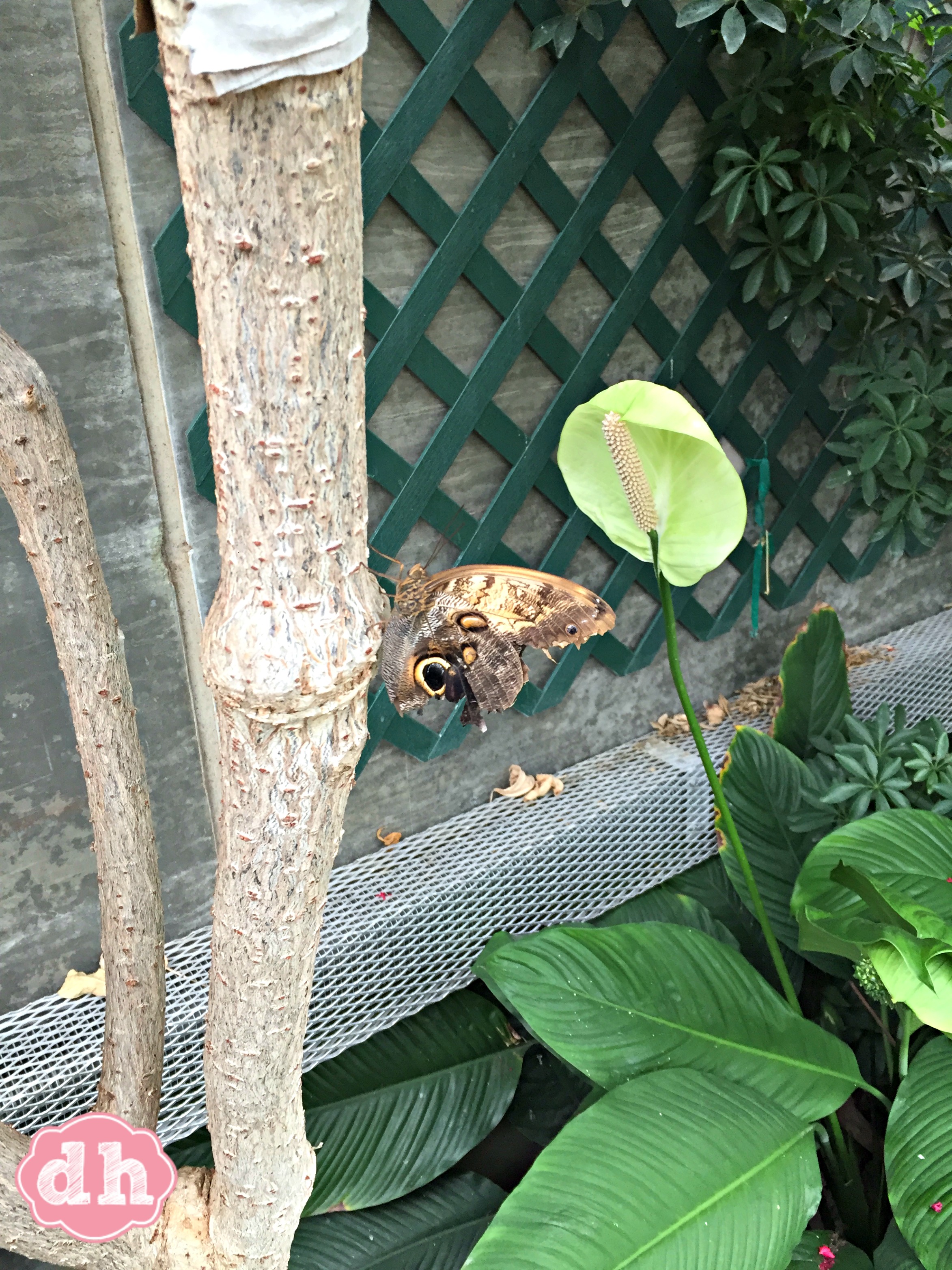 Sertoma Butterfly House & Marine Cove in Sioux Falls