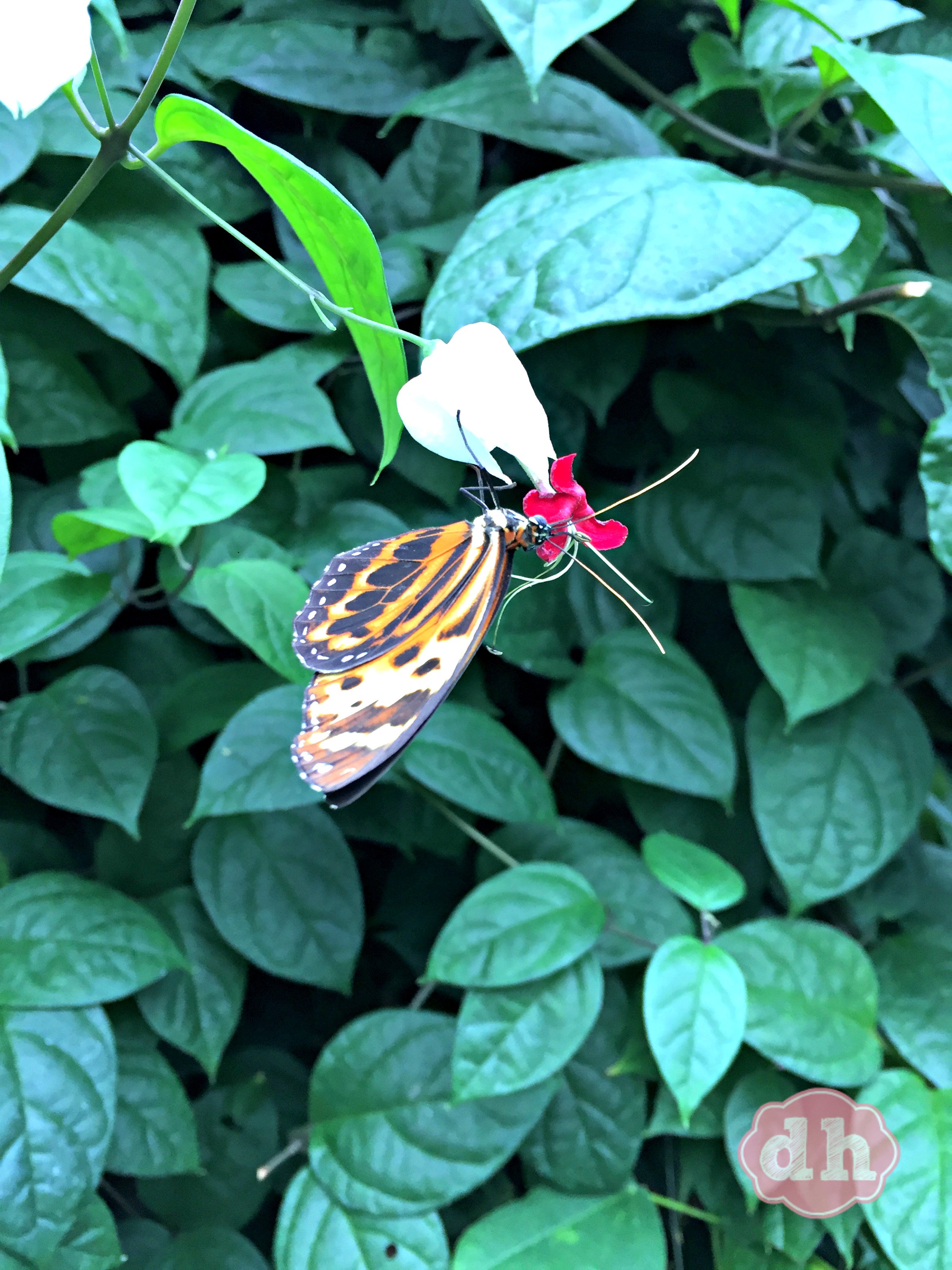 Sertoma Butterfly House & Marine Cove in Sioux Falls