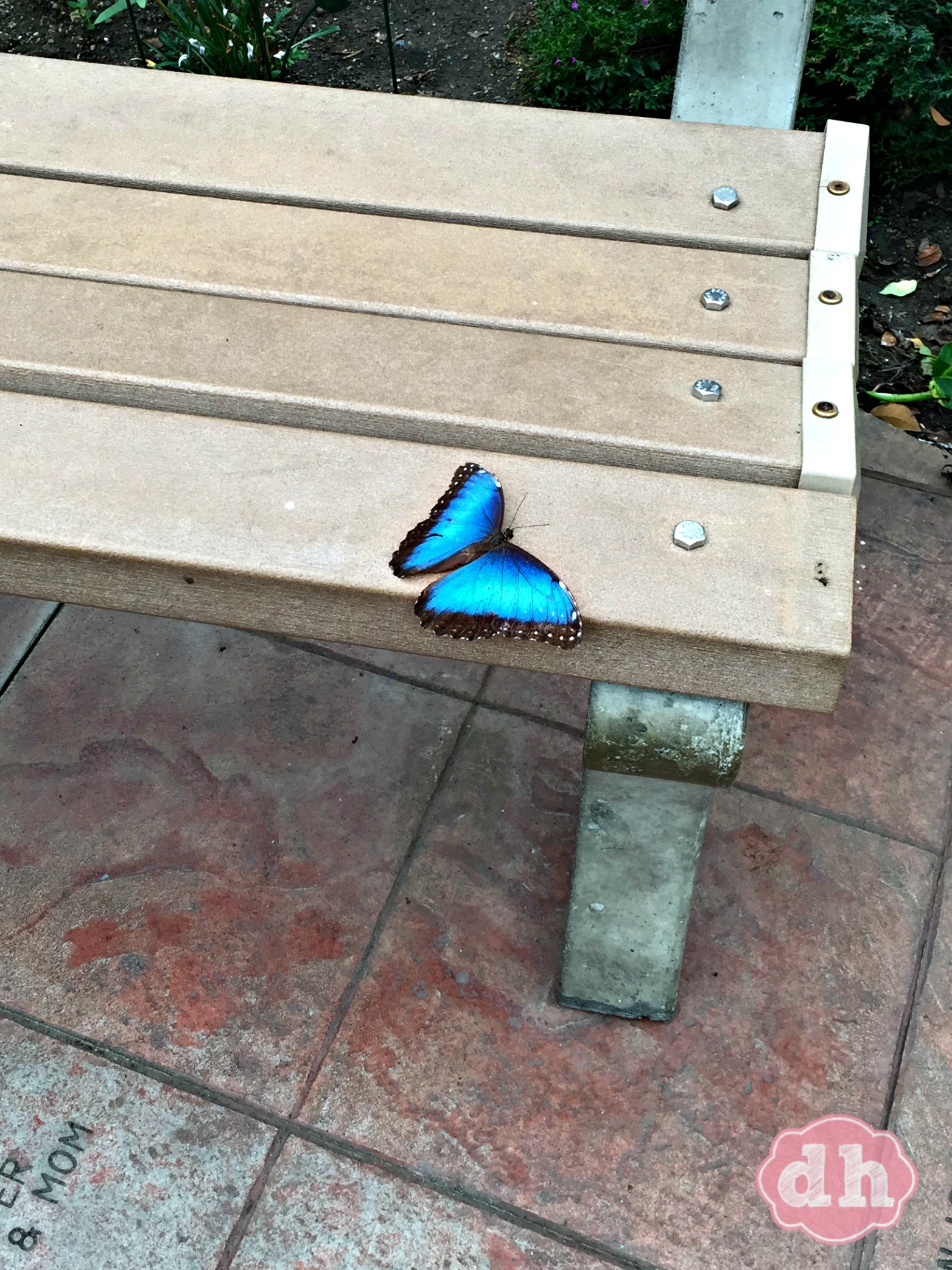 Sertoma Butterfly House & Marine Cove in Sioux Falls