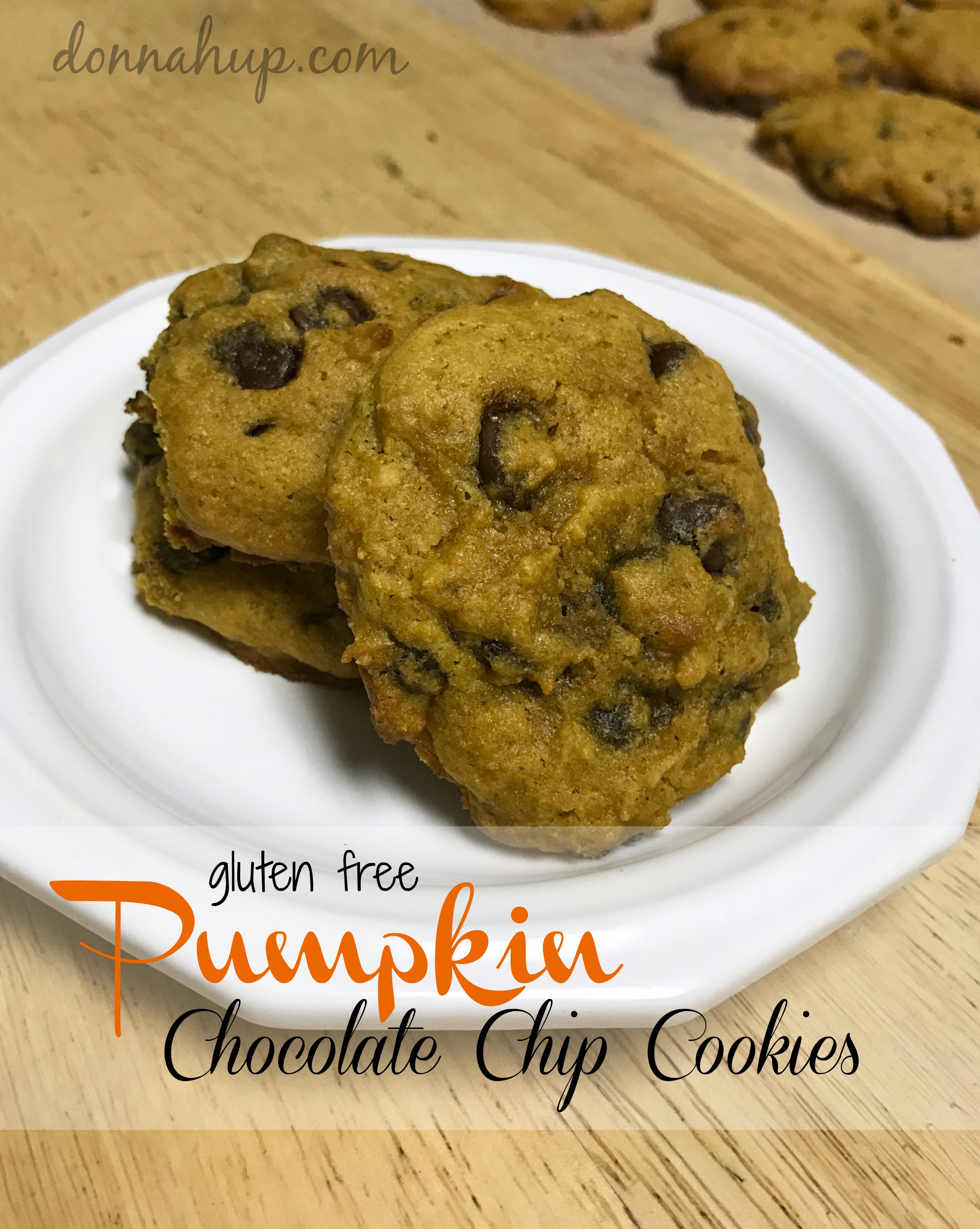 Gluten Free Pumpkin Chocolate Chip Cookies