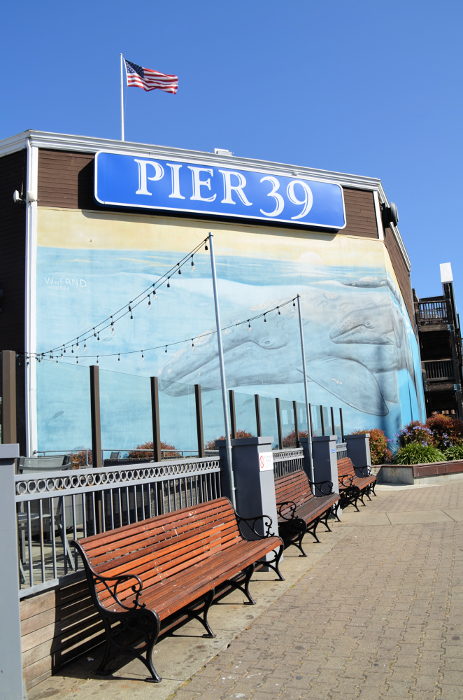 Spending the Day at Pier 39