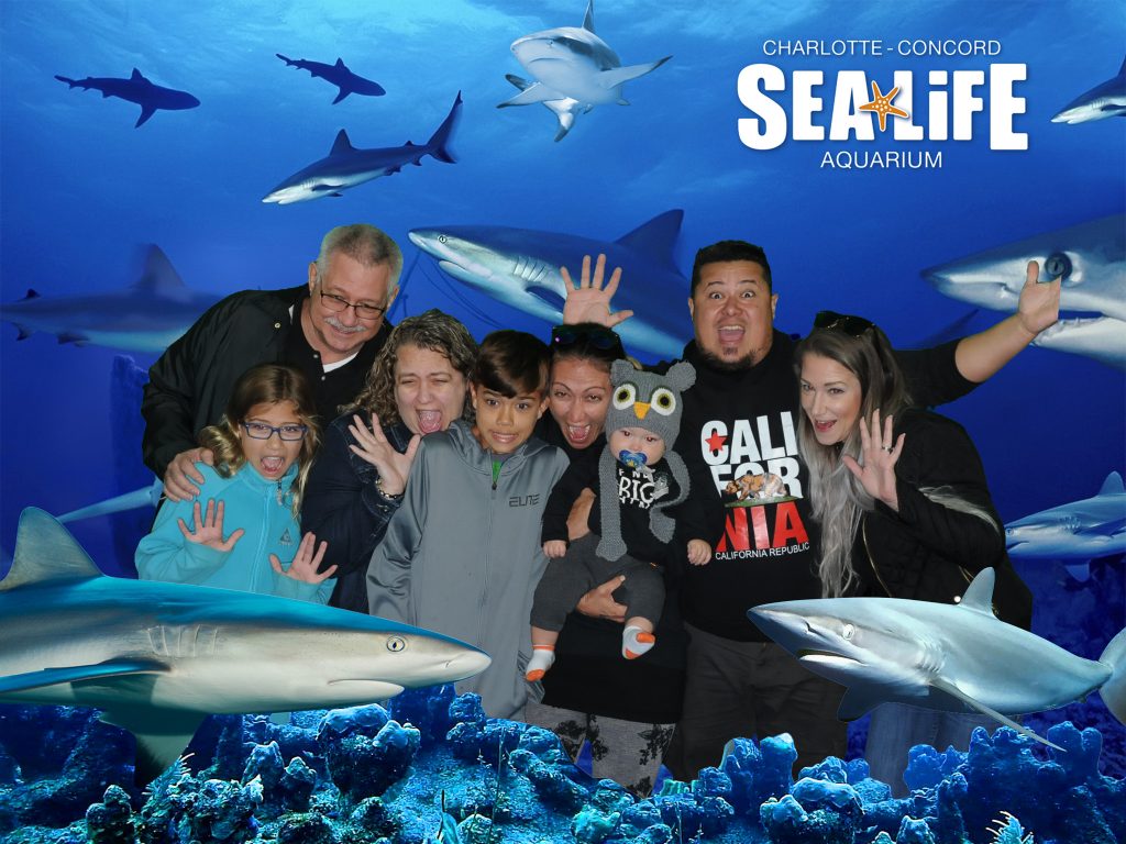 Sea Life in Charlotte