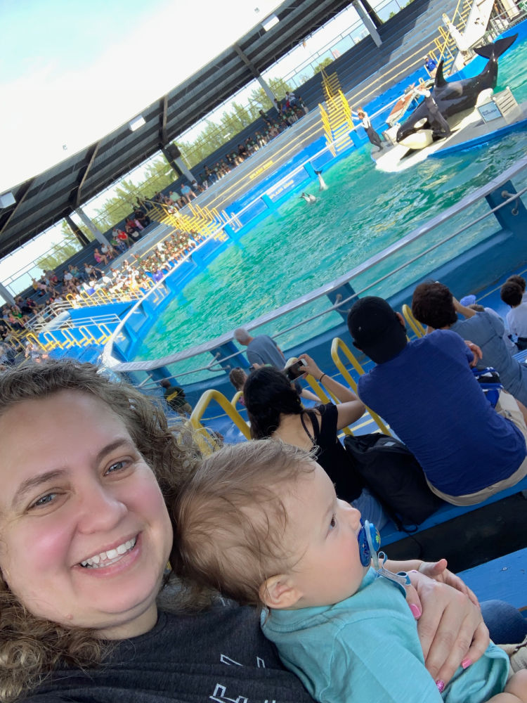 Miami Seaquarium with a Toddler