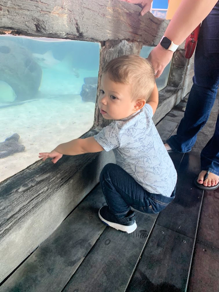 We had so much fun Visiting the Florida Aquarium Exhibits