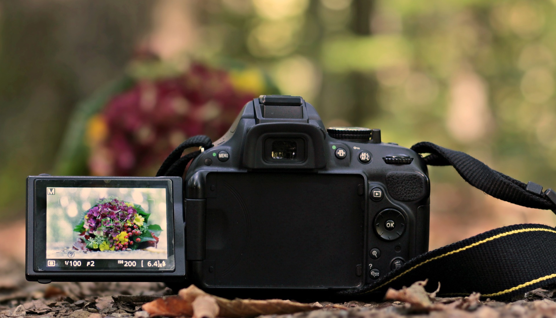 How to Choose the Best Digital Travel Cameras