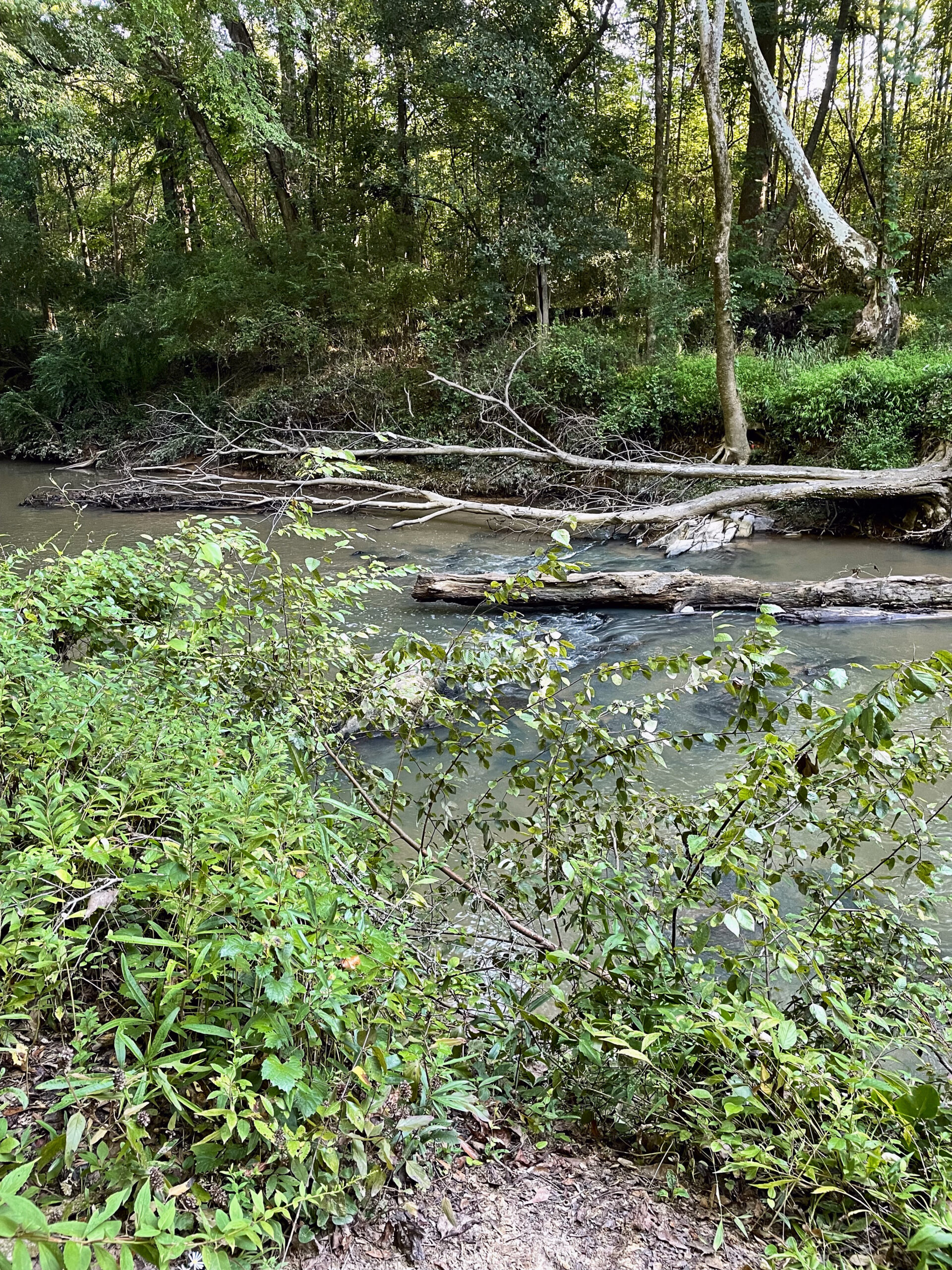 Carolina Thread Trail