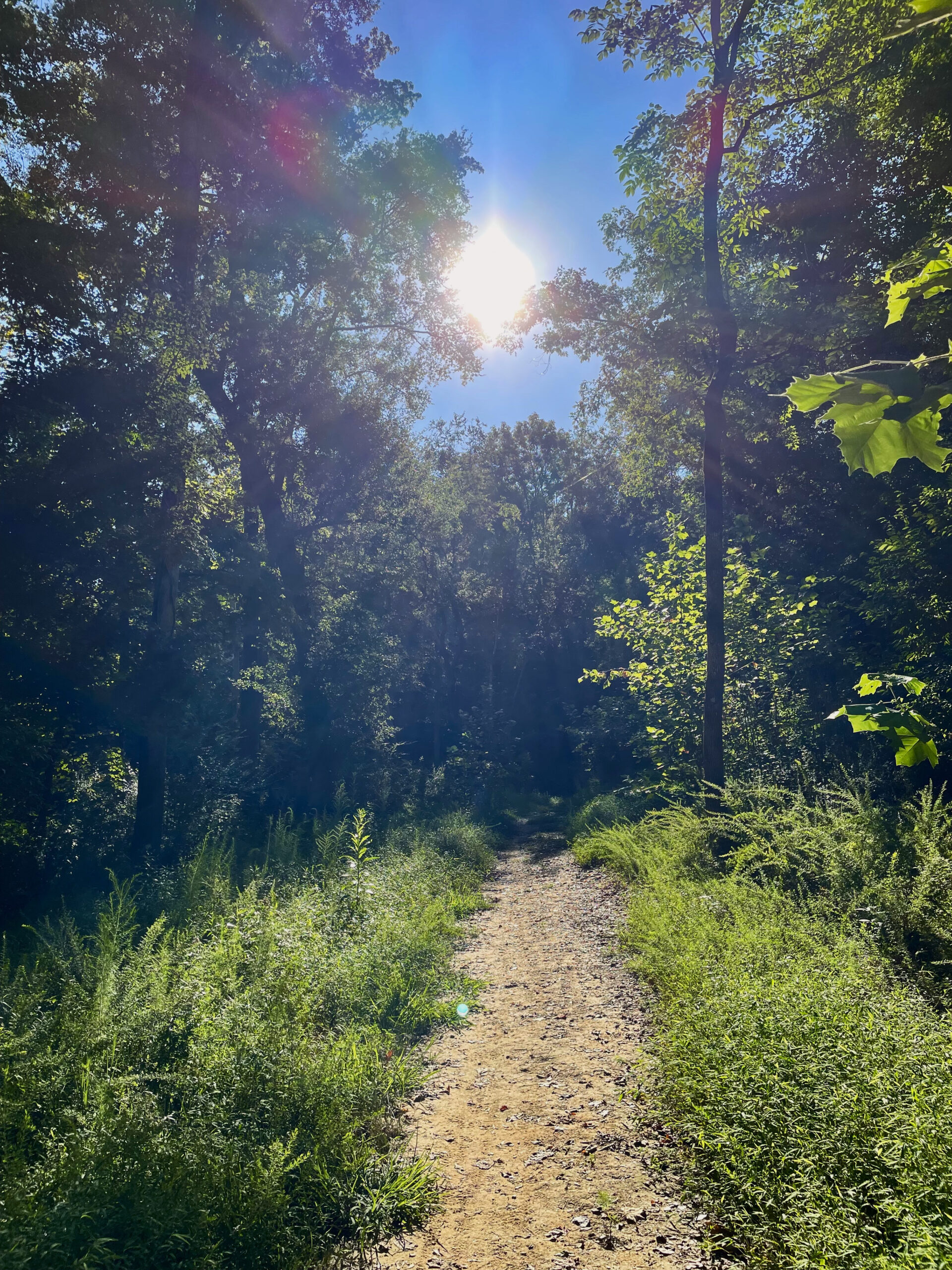 Carolina Thread Trail