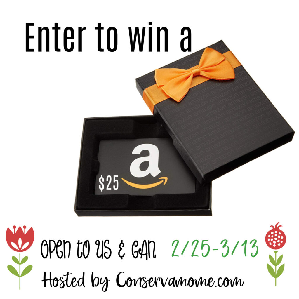 $25 Amazon Gift Card Giveaway